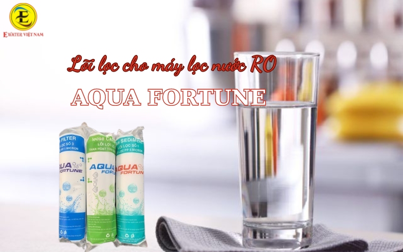 Vì sao nên sử dụng lõi lọc Aqua Fortune cho máy lọc nước RO?