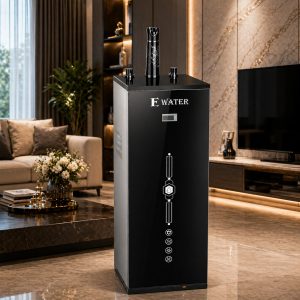 Máy lọc nước Ewater ENNT13